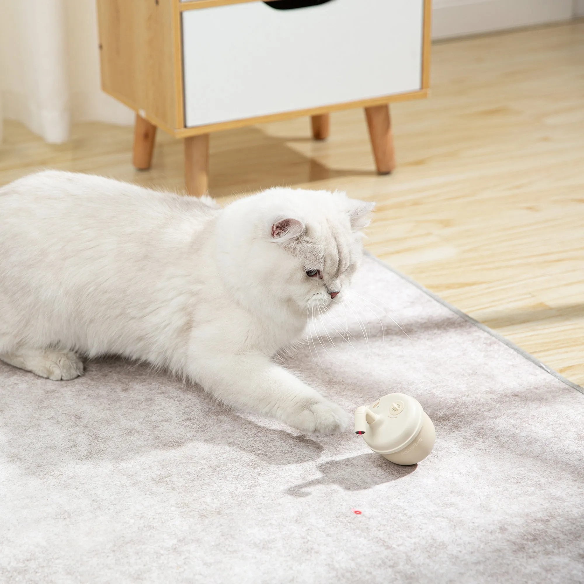 Bubble Laser Cat Toy